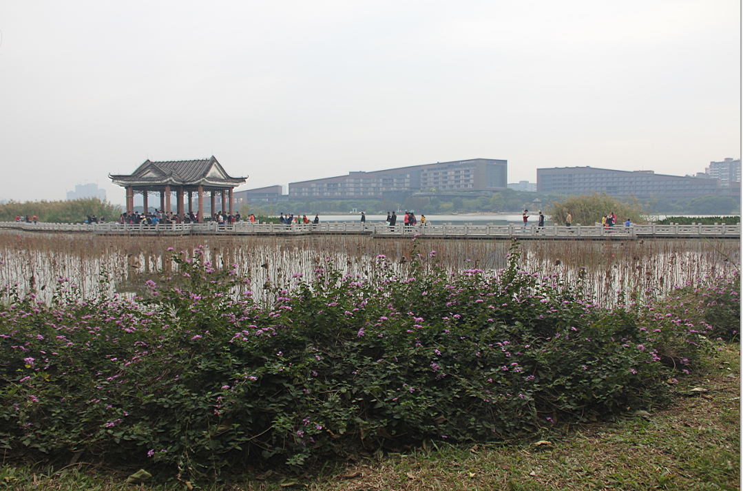 2015年?yáng)|莞松山湖跑步比賽